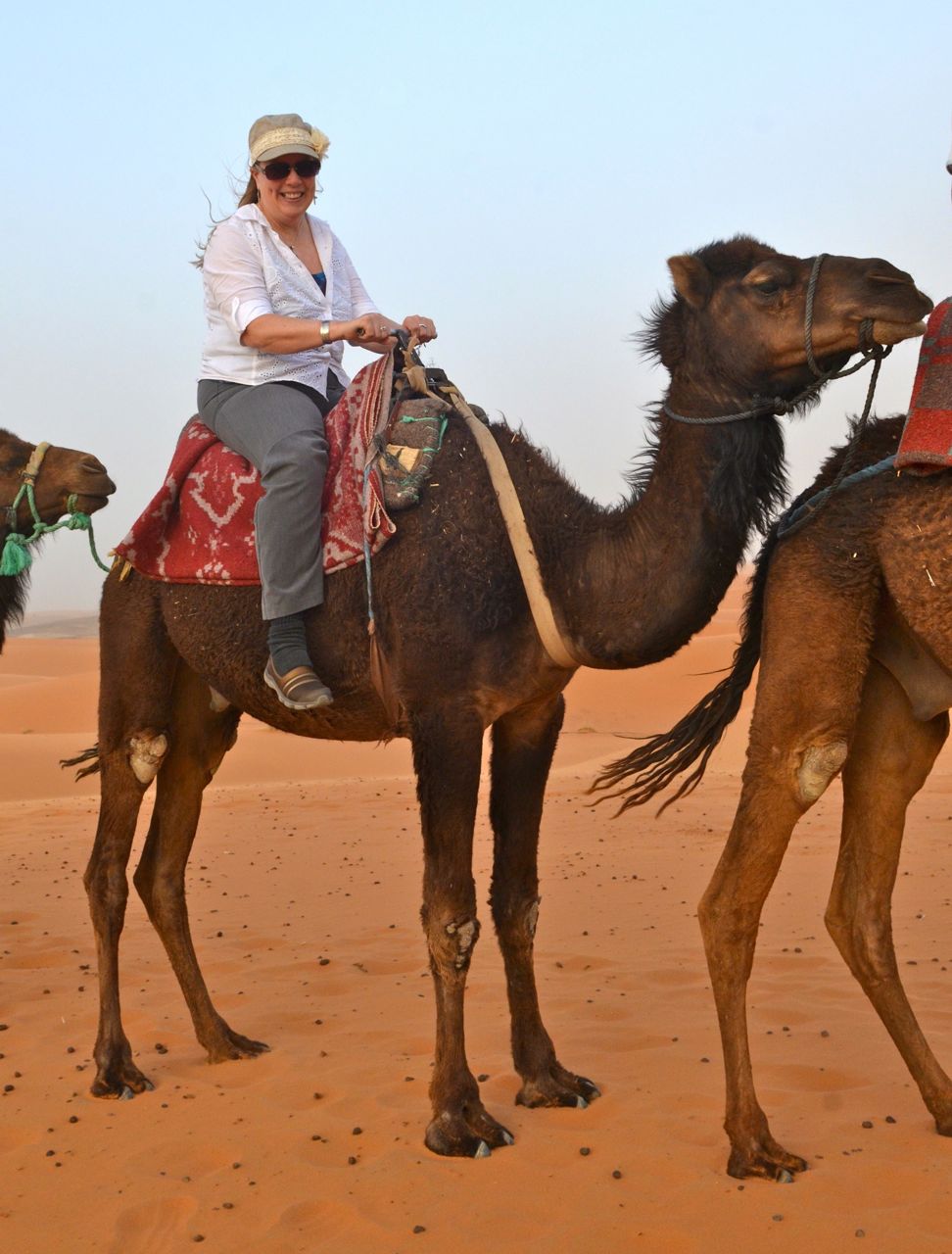 Camel Ride in Morocco